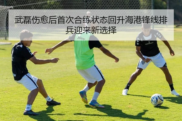 武磊伤愈后首次合练状态回升海港锋线排兵迎来新选择